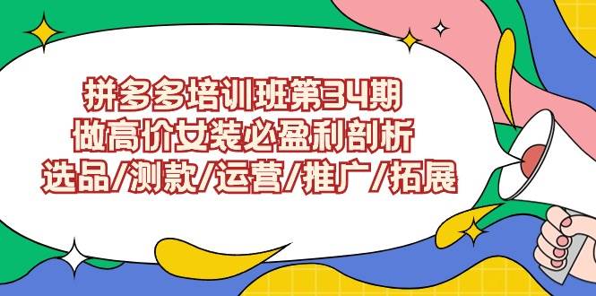 拼多多培训班第34期：做高价女装必盈利剖析  选品/测款/运营/推广/拓展-中创 网赚