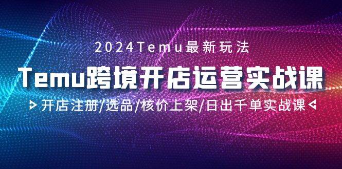 2024Temu跨境开店运营实战课，开店注册/选品/核价上架/日出千单实战课-中创 网赚