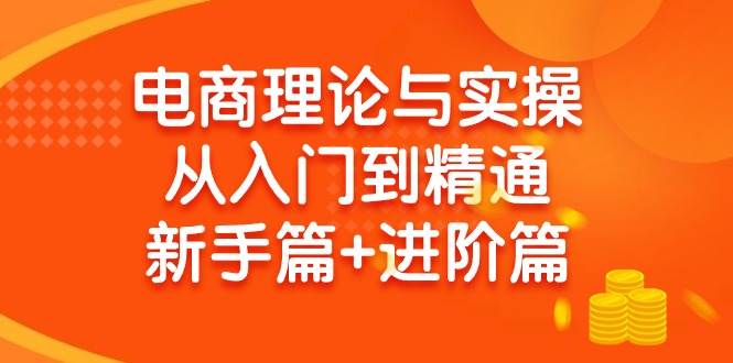 电商理论与实操从入门到精通 新手篇+进阶篇-中创 网赚