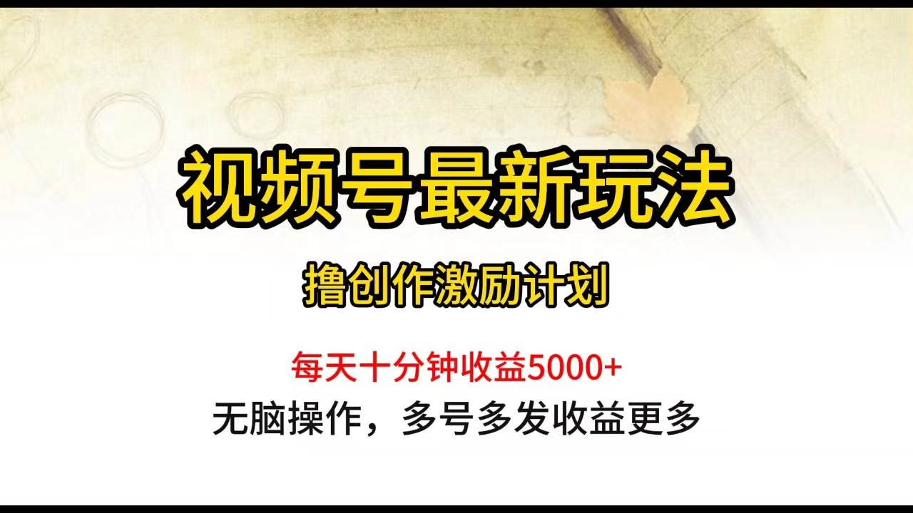 视频号最新玩法，每日一小时月入5000+-中创 网赚