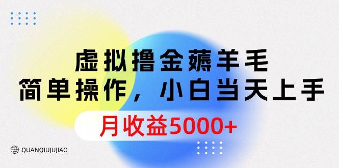 虚拟撸金薅羊毛，简单操作，小白当天上手，月收益5000+-中创 网赚