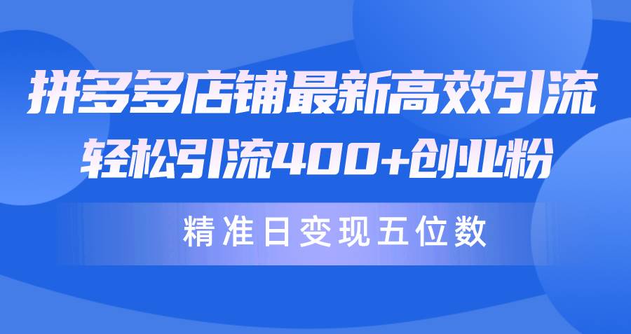 拼多多店铺最新高效引流术，轻松引流400+创业粉，精准日变现五位数！-中创 网赚