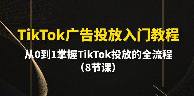 TikTok广告投放入门教程，从0到1掌握TikTok投放的全流程（8节课）-中创 网赚