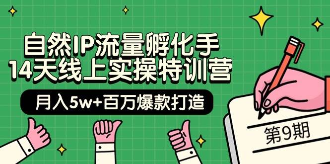 自然IP流量孵化手 14天线上实操特训营【第9期】月入5w+百万爆款打造 (74节)-中创 网赚