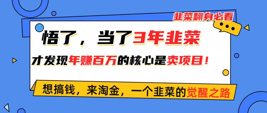 悟了，当了3年韭菜，才发现网赚圈年赚100万的核心是卖项目，含泪分享！-中创 网赚