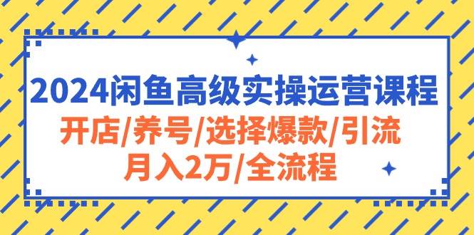 2024闲鱼高级实操运营课程：开店/养号/选择爆款/引流/月入2万/全流程-中创 网赚