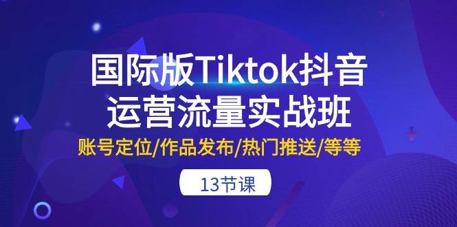 国际版Tiktok抖音运营流量实战班：账号定位/作品发布/热门推送/等等-13节-中创 网赚