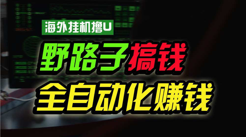 海外挂机撸U新平台，日赚8-15美元，全程无人值守，可批量放大，工作室内…-中创 网赚