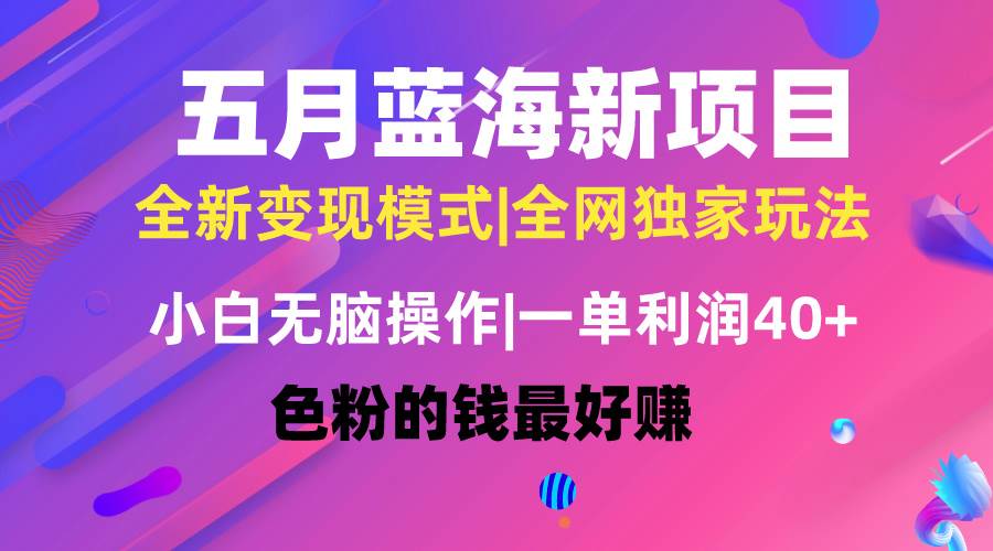 五月蓝海项目全新玩法，小白无脑操作，一天几分钟，矩阵操作，月入4万+-中创 网赚