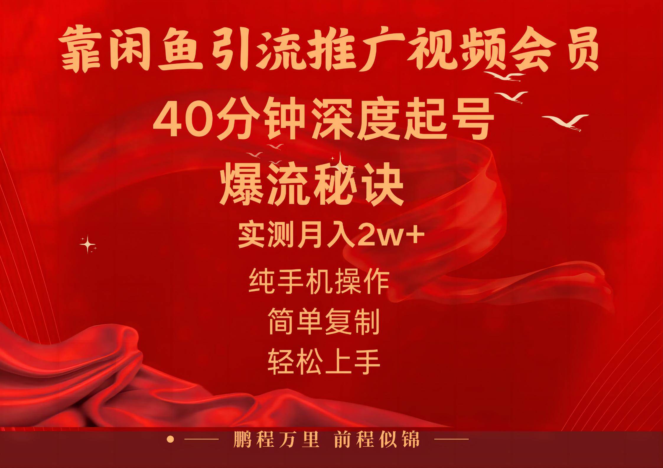 闲鱼暴力引流推广视频会员，能做到日入2W+，操作简单-中创 网赚