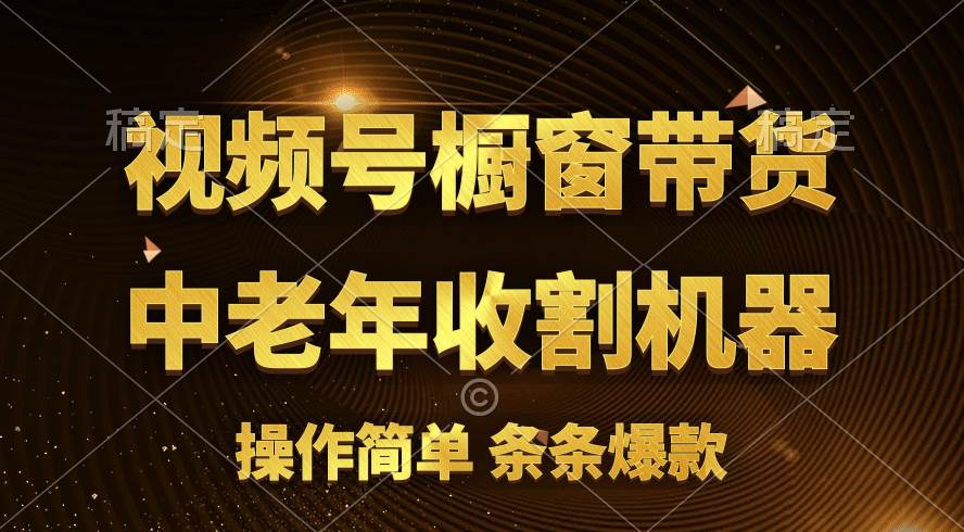 [你的孩子成功取得高位]视频号最火爆赛道，橱窗带货，流量分成计划，条…-中创 网赚