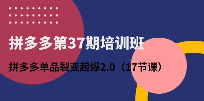 拼多多第37期培训班：拼多多单品裂变起爆2.0（17节课）-中创 网赚