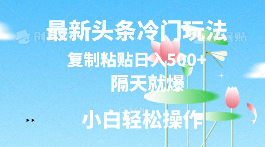 最新头条冷门玩法，隔天就爆，复制粘贴日入500+-中创 网赚