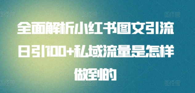 日引流100私域流量小红书图文是怎样做到的全面解析-中创 网赚