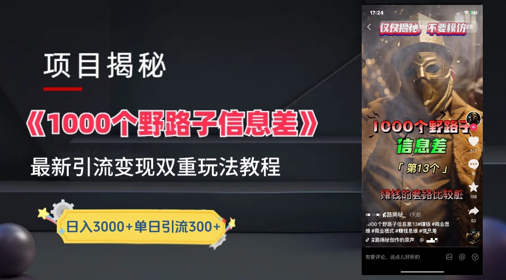 一千个野路子信息差24年最新玩法教程附带变现方法和引流的玩法具体拆解-中创 网赚