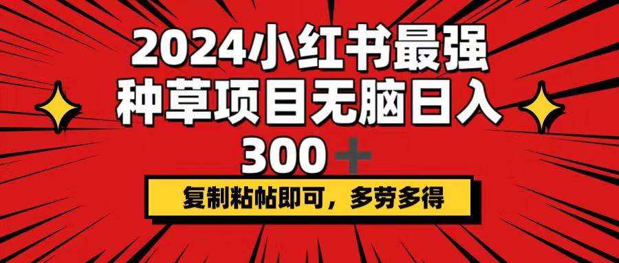 2024小红书最强种草项目，无脑日入300+，复制粘帖即可，多劳多得-中创 网赚