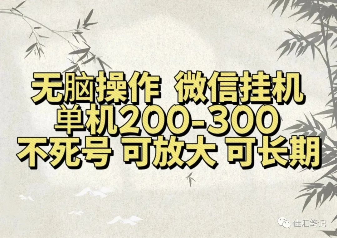 无脑操作微信视频号挂机单机200-300一天，不死号，可放大，工作室实测-中创 网赚