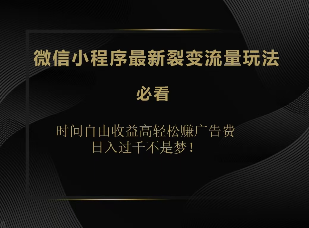 微信小程序最新裂变流量玩法，时间自由收益高轻松赚广告费，日入200-500+-中创 网赚