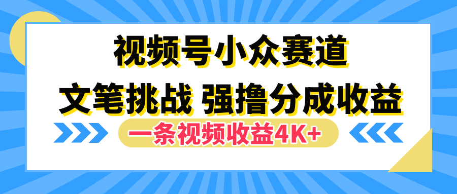 视频号小众赛道，文笔挑战，一条视频收益4K+-中创 网赚