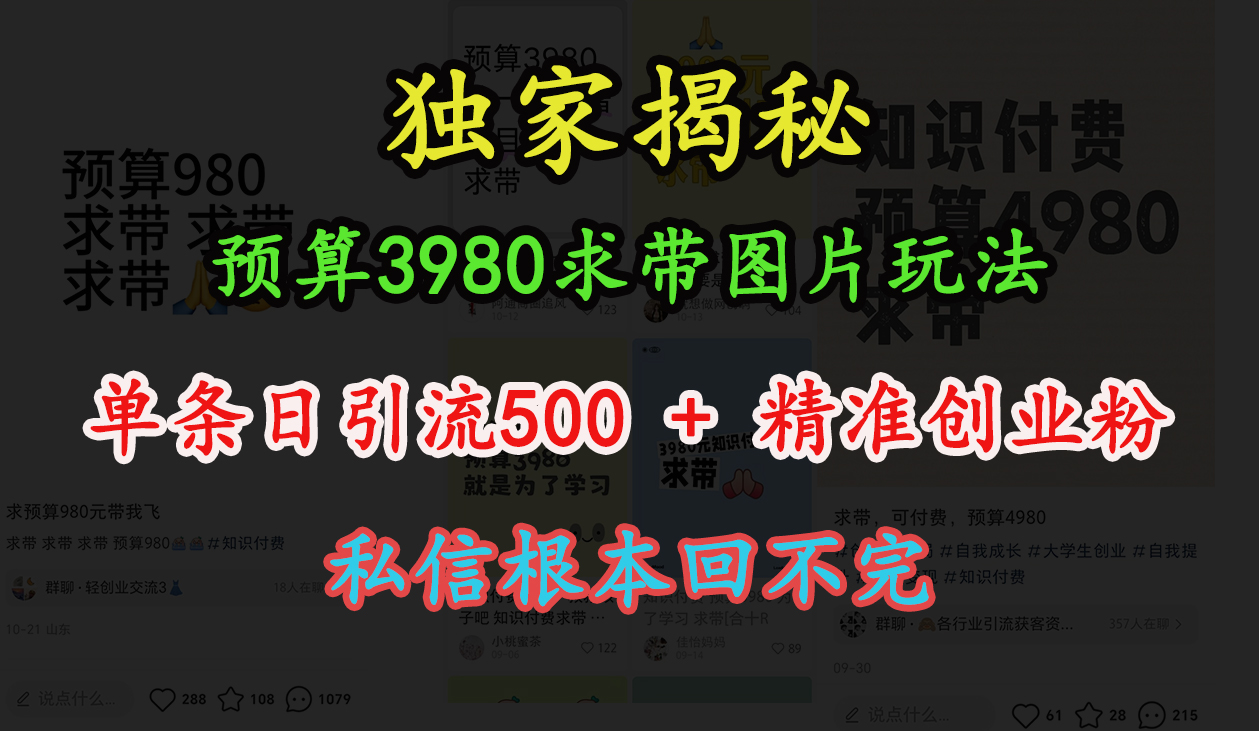 “小红书”预算3980求带 图片玩法，单条日引流500+精准创业粉，私信根本回不完-中创 网赚